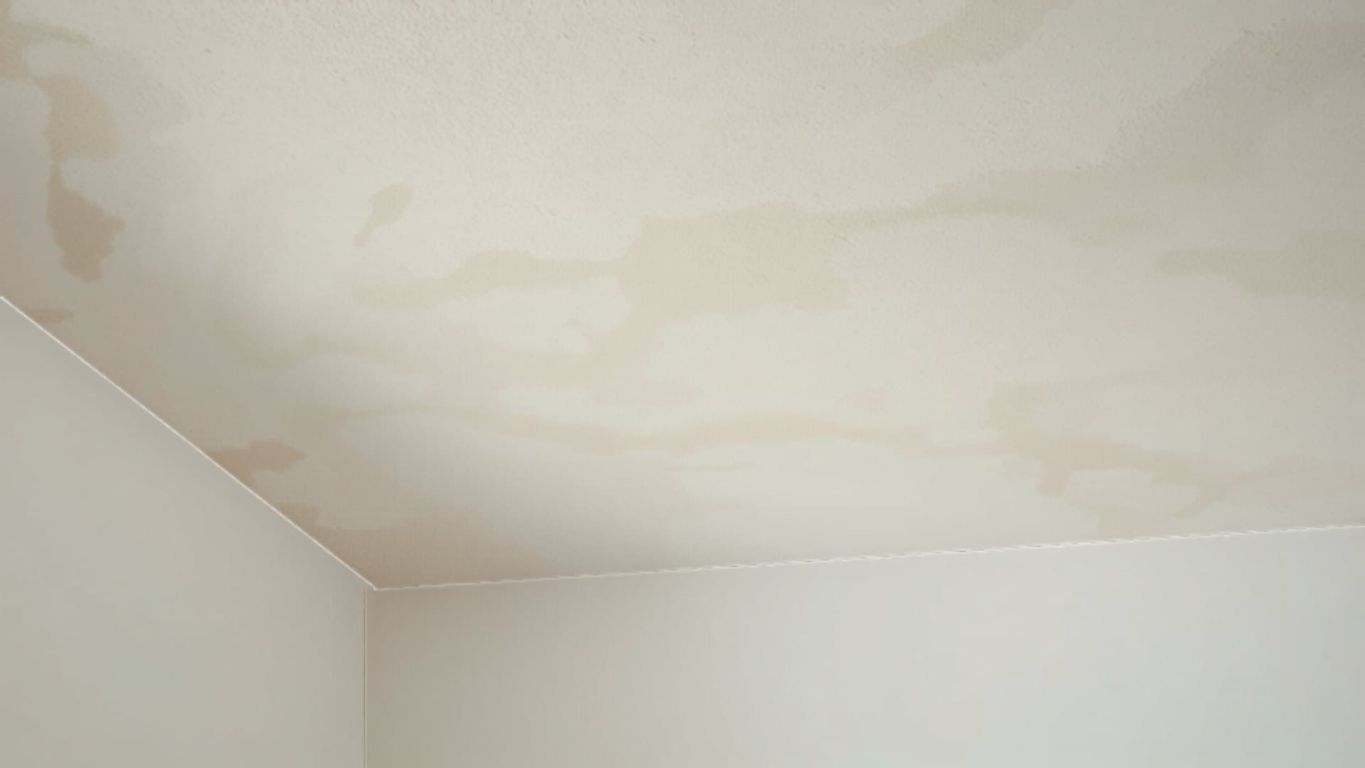 Illustration of a pale painted ceiling meeting two walls, marked by a soft brown-edged water stain